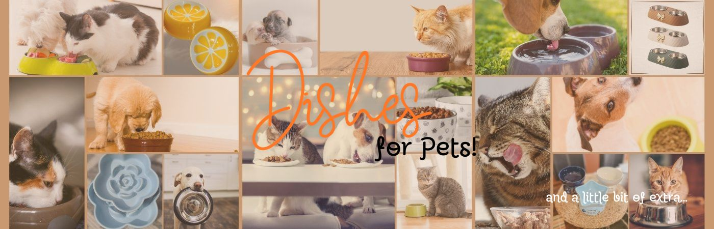 Christmas for Pets