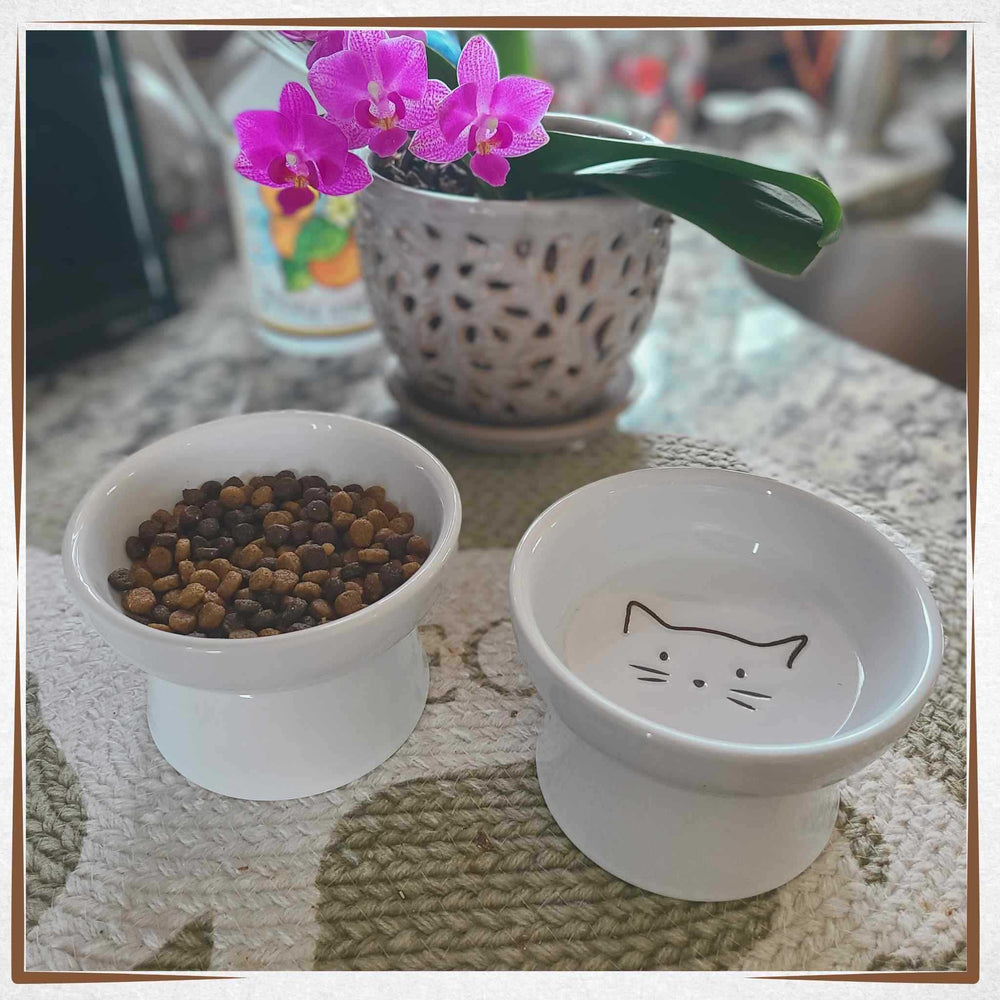 Raised Cat Bowl Small - Cat's Smile