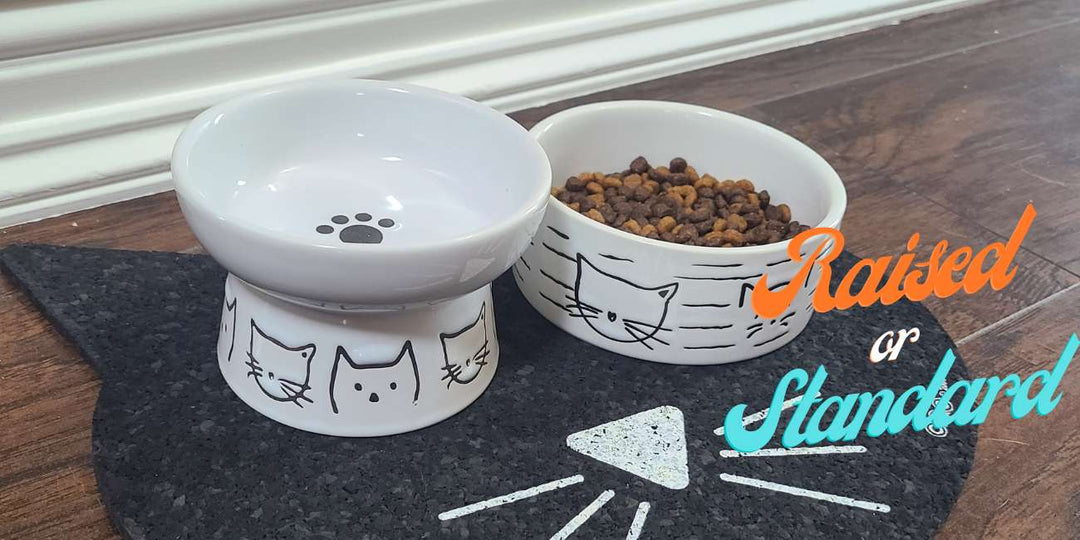 Raised vs Standard Pet Bowls - both types of cat dishes