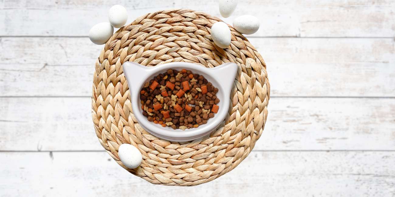 Cat Bowl is standing on a food placemat