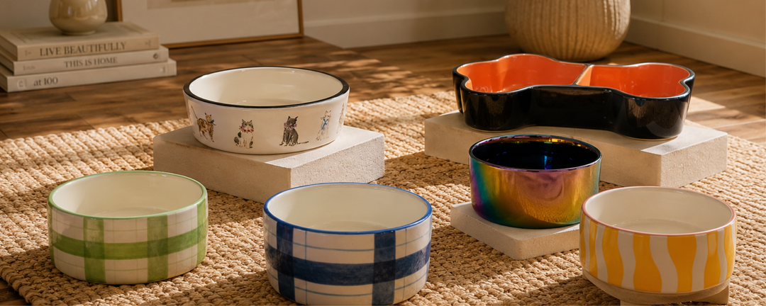 colorful pet bowls