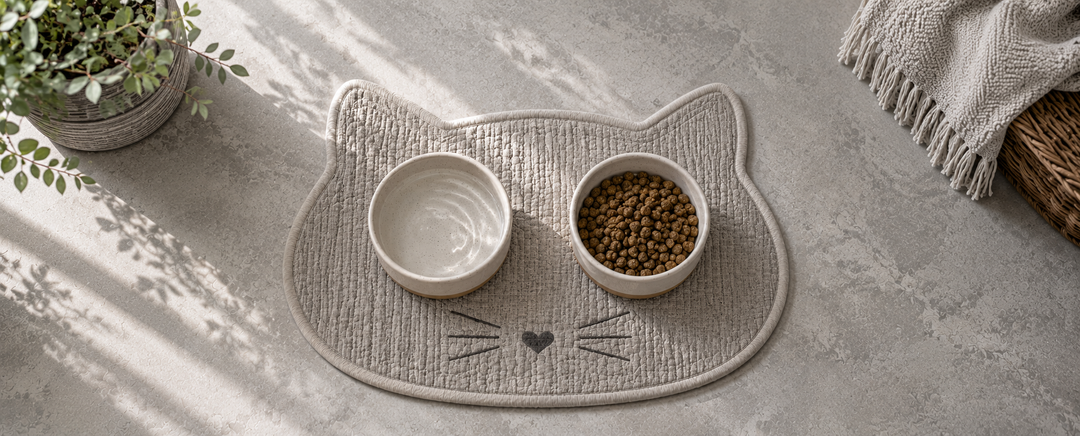 Cat Bowl is standing on a food placemat