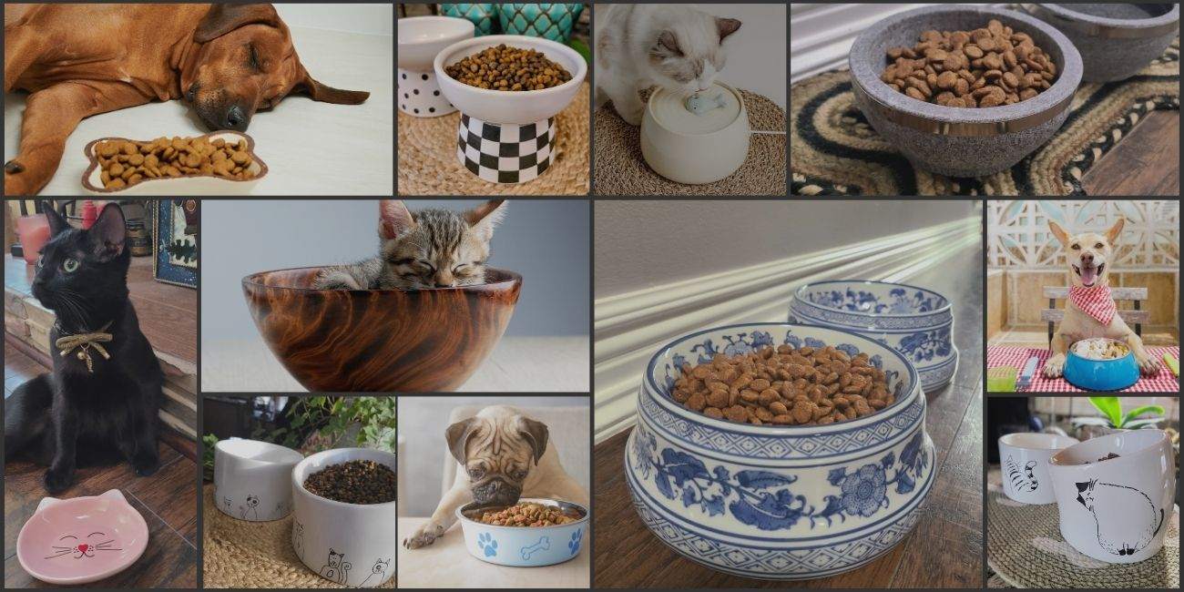 Pet Dishes, Bowls, and Dining Accessories