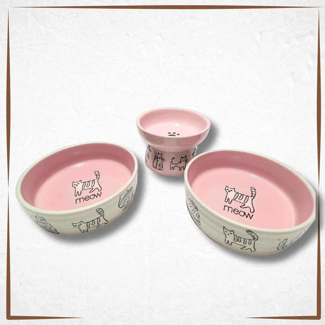 Raised Cat Bowl Small Pink set