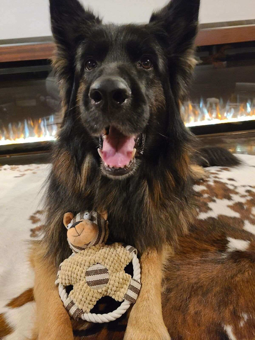 Dog Toy - Brown paw Bear