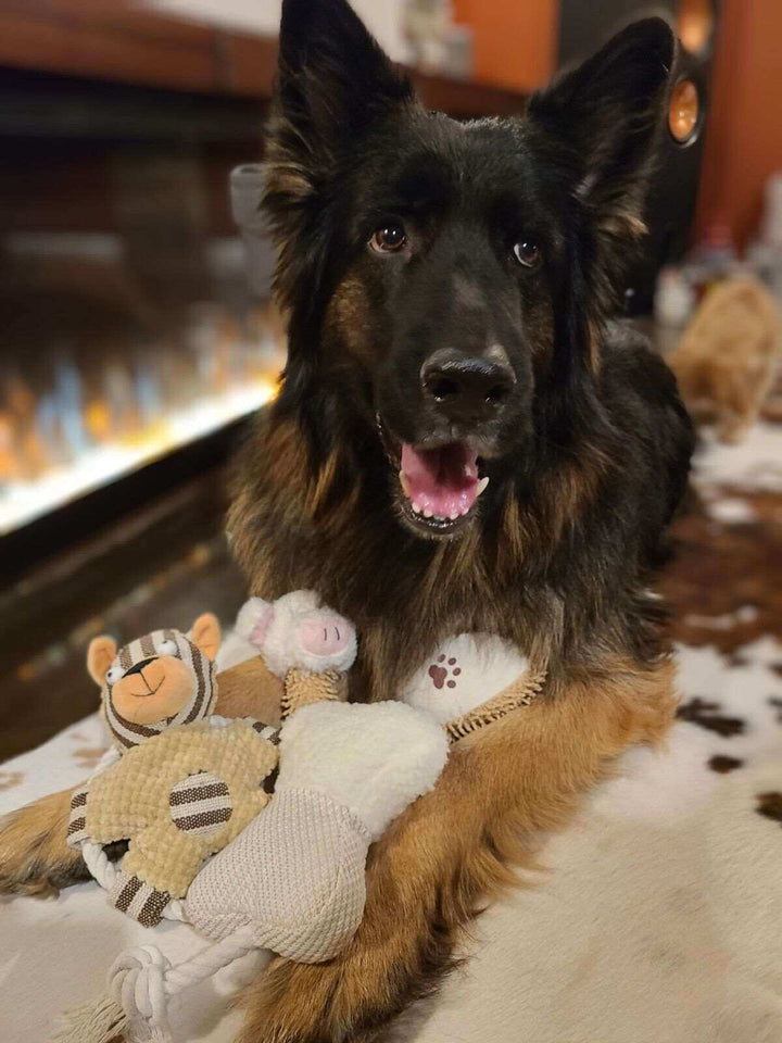 Dog Toy - Brown Paw White Bone 