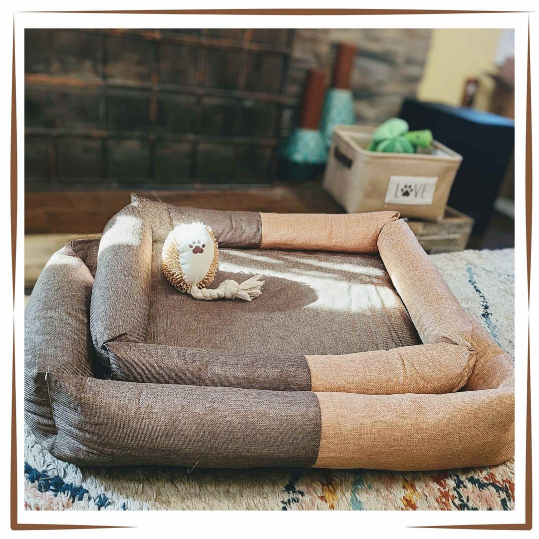 Two-Toned Dog Bed