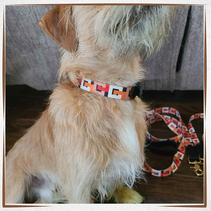 Unique Dog Leash - At Buddy's