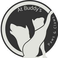 At Buddy's Paws & Claws