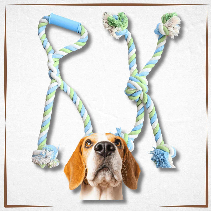 dog rope toy