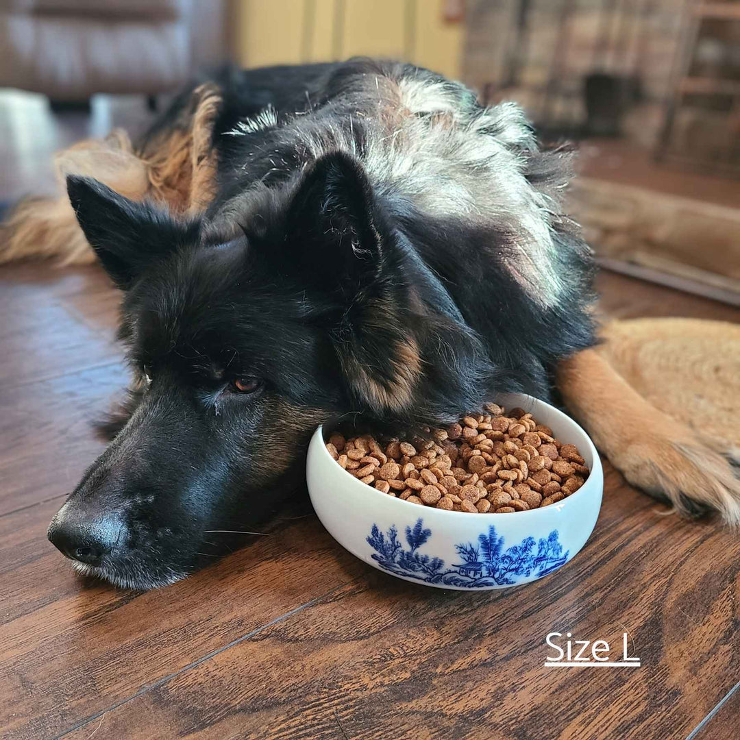 Chinoiserie Dog Bowl - China Village