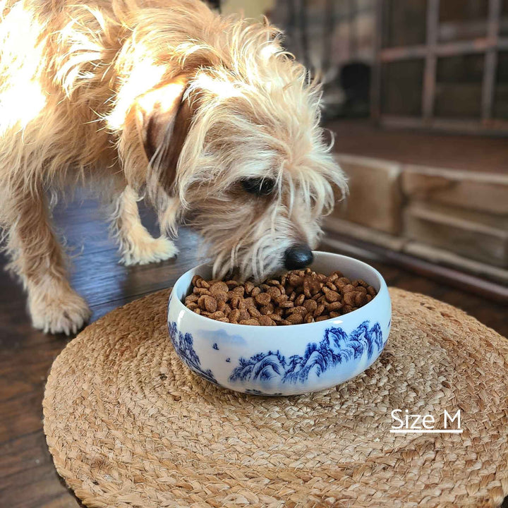 Chinoiserie Dog Bowl - China Village