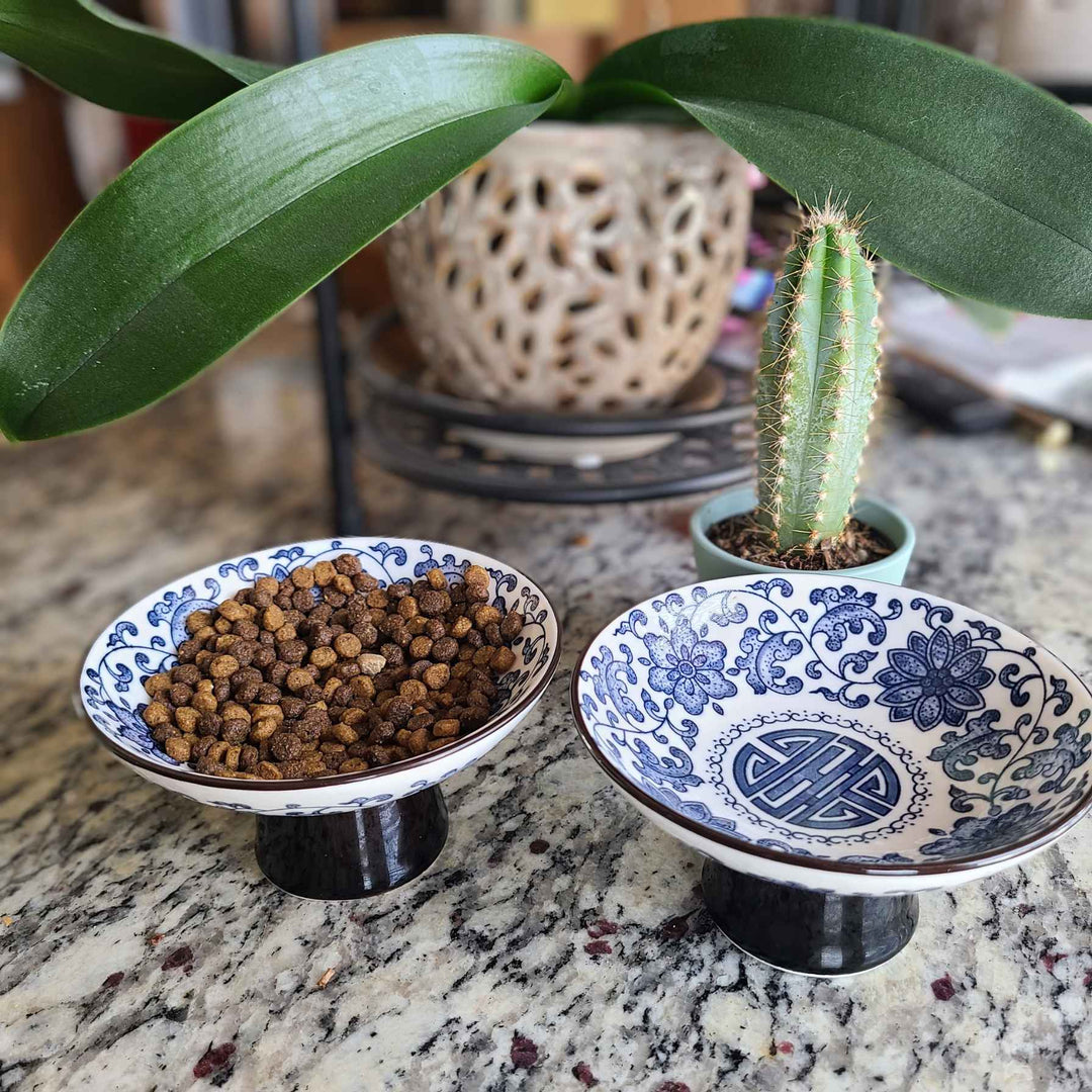 Chinoiserie Cat Plate