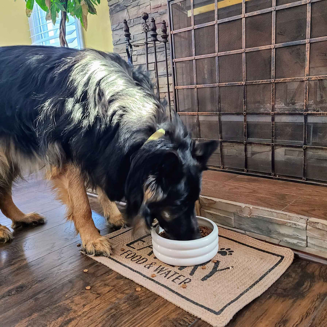 Large Ceramic Dog Bowl - Bubble