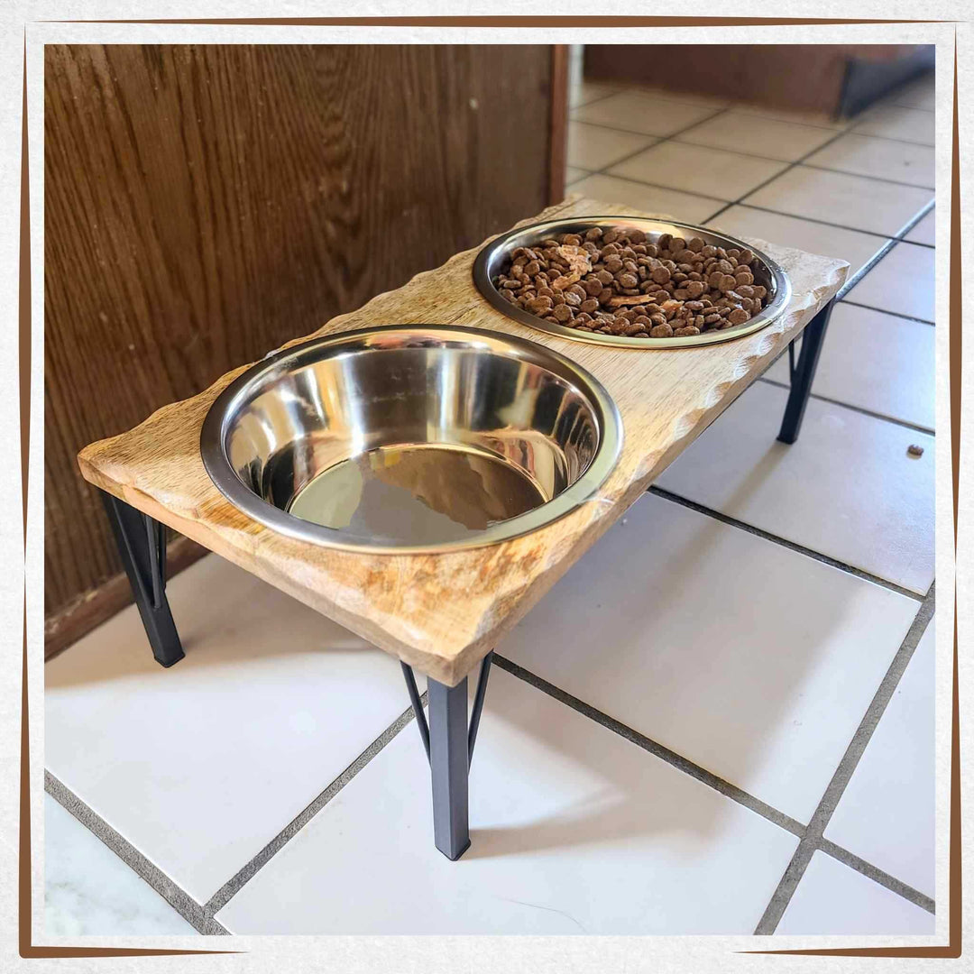 Large Dog Bowls Set IndiPet