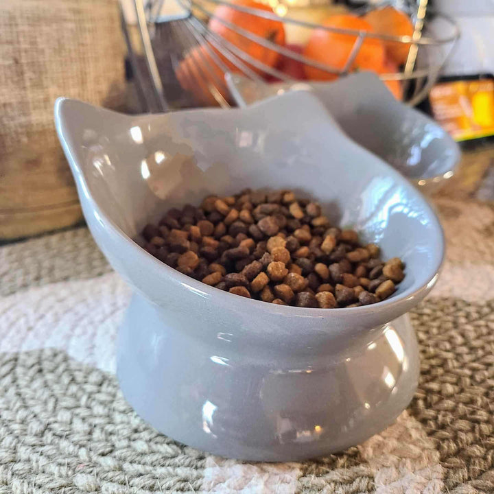 Raised Tilted Gray Cat Bowl with food in it