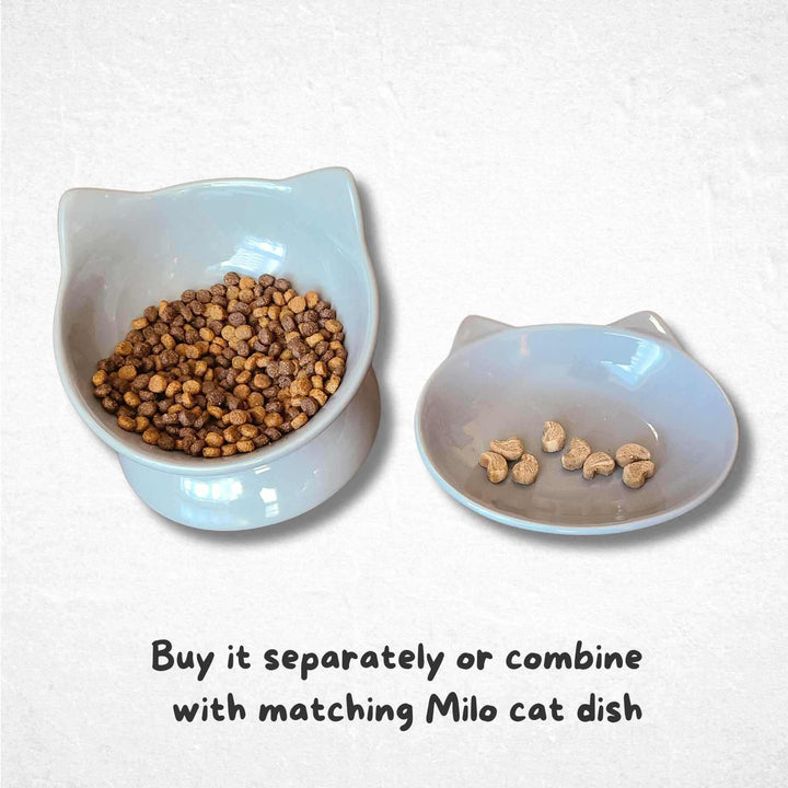 Milo set of two cat bowls: one is raised tilted and the other - small shallow cat dish