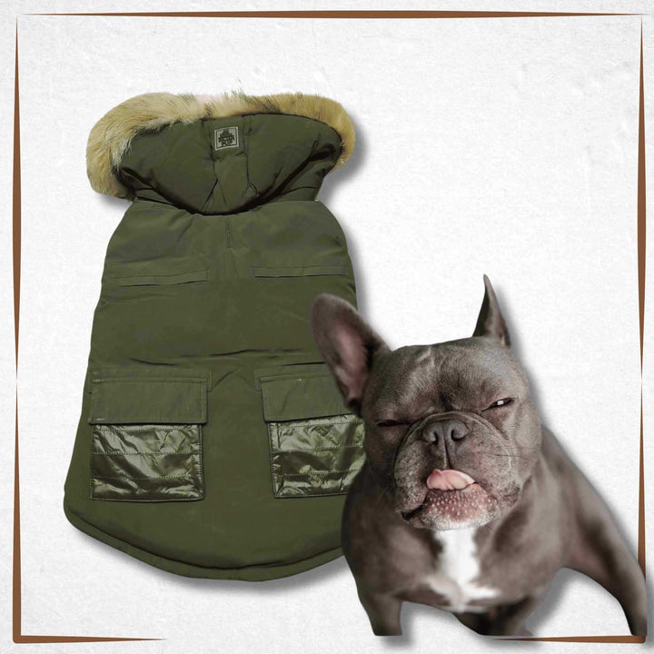 winter dog coat Pajar Green