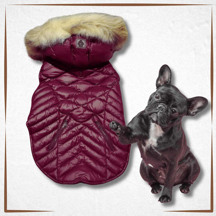 Winter Dog Coat - Pajar Purple