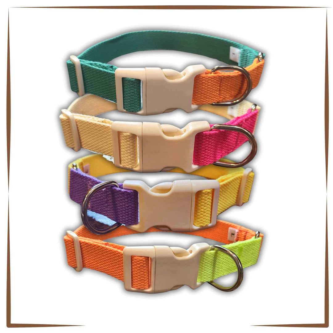 Dog Collar - Pawsome Collection