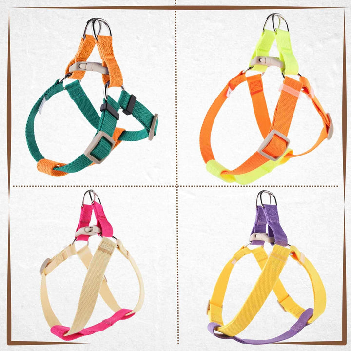 Dog Harness - Pawsome Collection