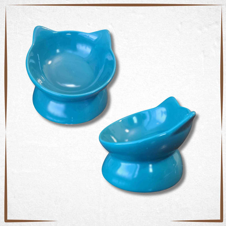 Raised Tilted Cat Bowl Teal