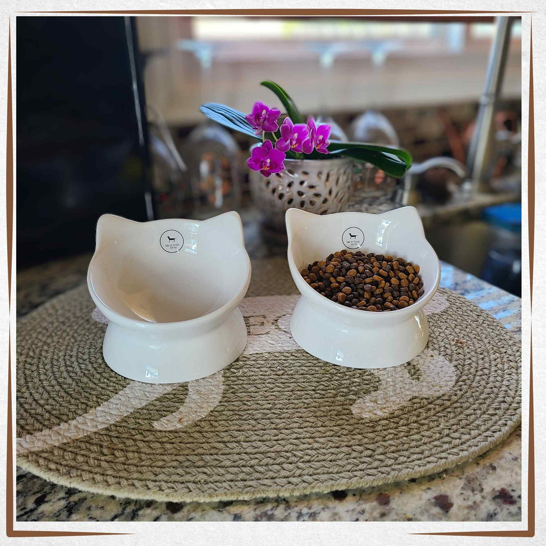 Two Raised Tilted Cat Bowls - white