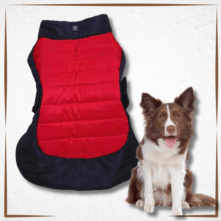 Dog Coat Silver Paw Black and Red