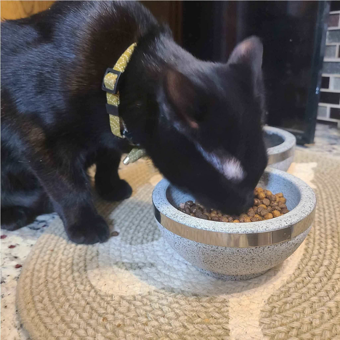 Natural Stone Cat Bowl