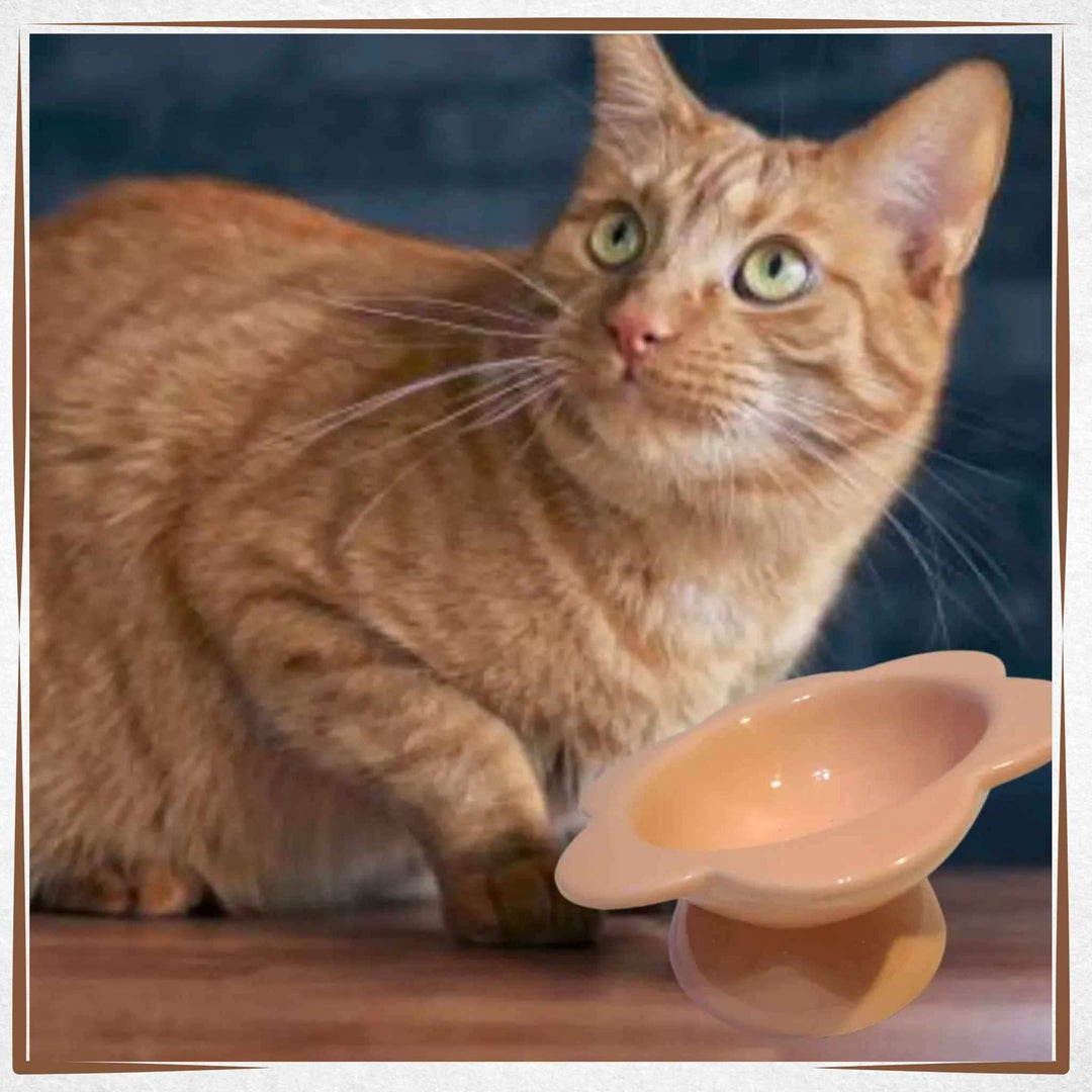 Raised Cat Bowl - Ceramic Tilted - Flower