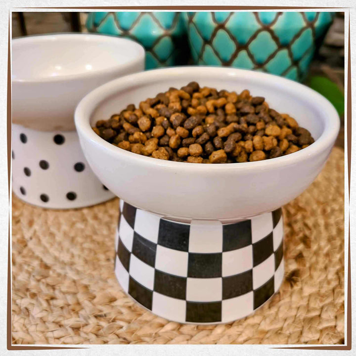 Elevated Cat Dish - White and Black 