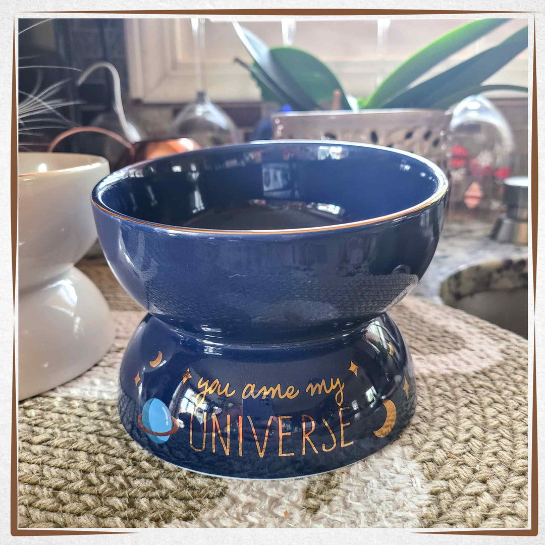 Raised Cat Bowl Tilted - Big Blue