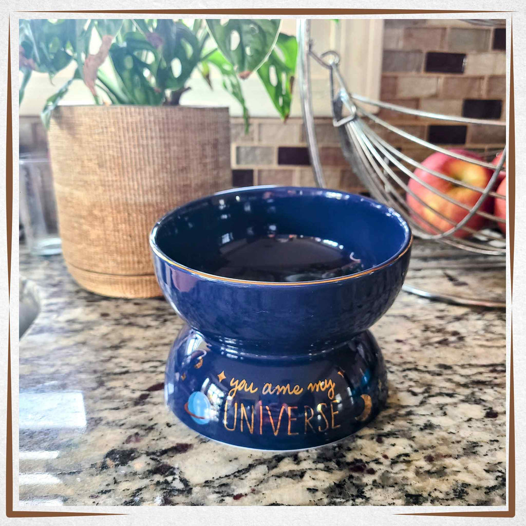 Raised Cat Bowl Tilted - Big Blue