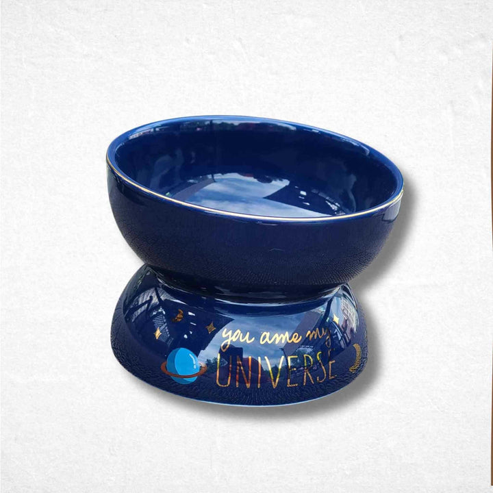 Raised Cat Bowl Tilted - Big Blue