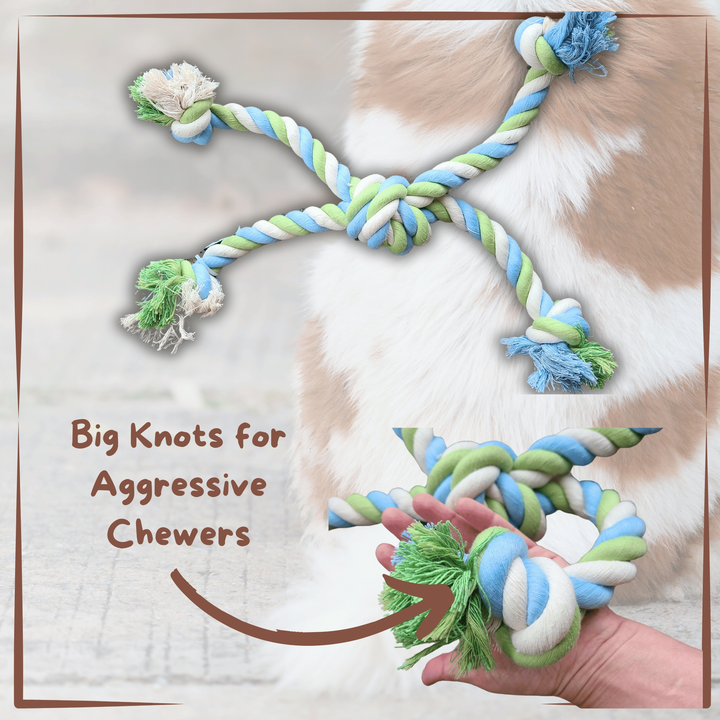 dog rope toy