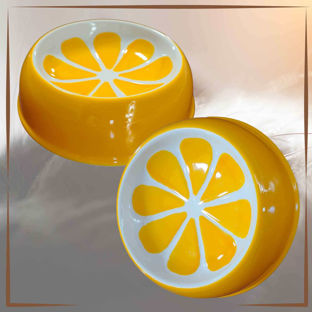 Ceramic Food Bowl Orange