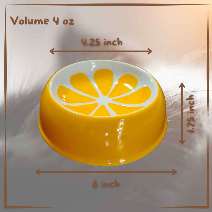 Ceramic Food Bowl Size