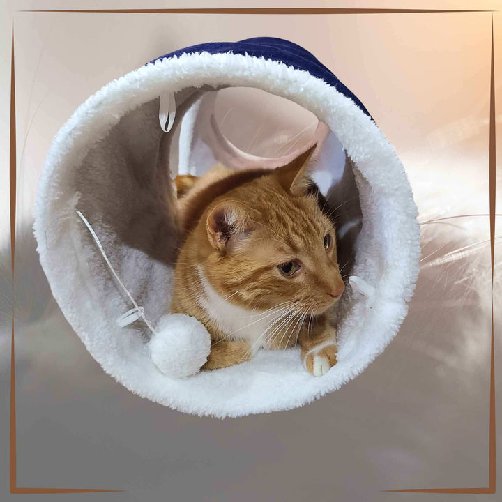 Soft Cat Play Tunnel Blue