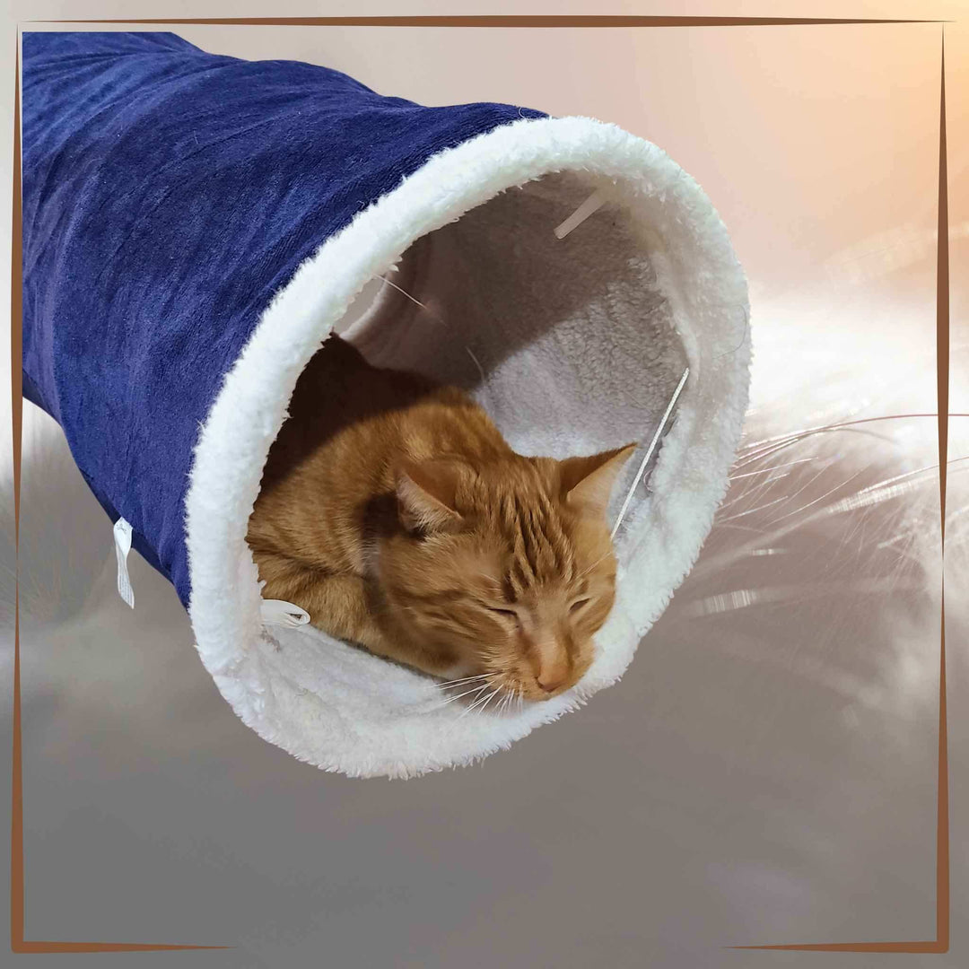 Soft Cat Play Tunnel Blue