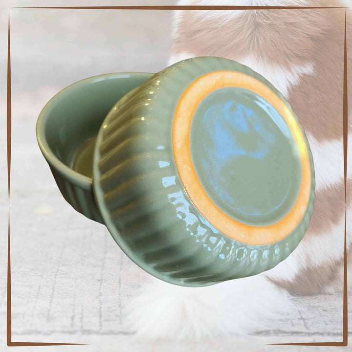 Ceramic Pet Bowls