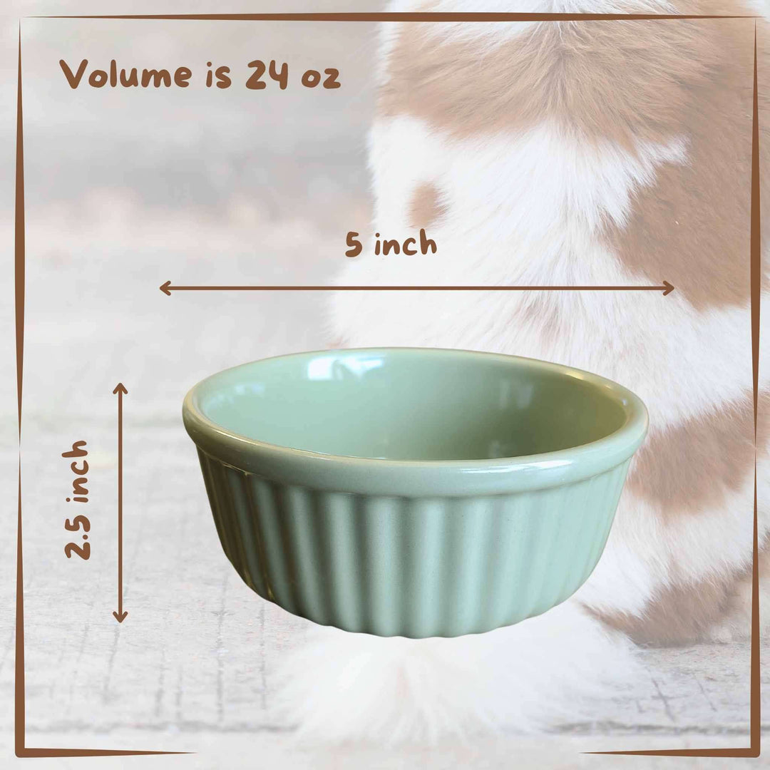 Ceramic Pet Bowls