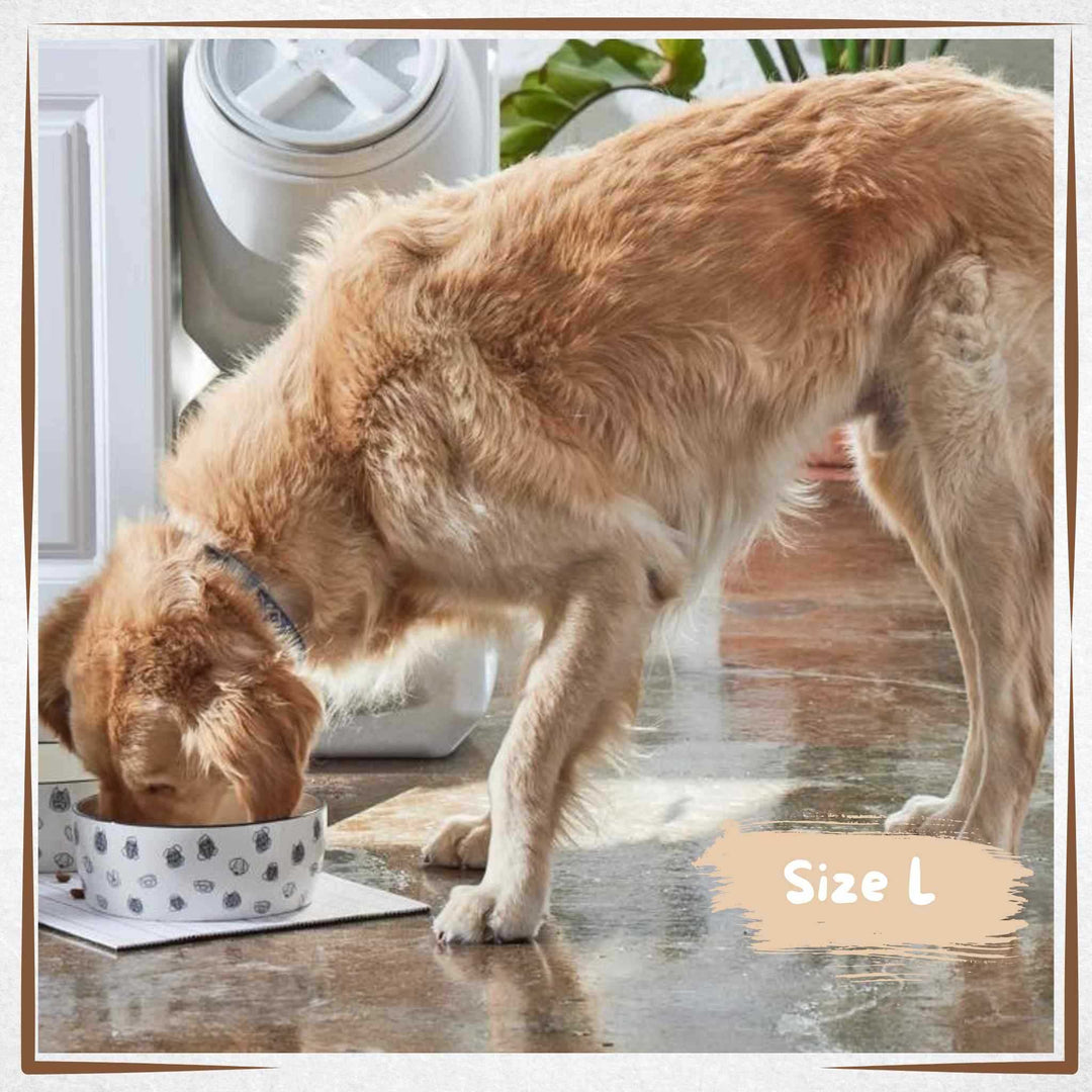 Ceramic Dog Bowl - Doggy's Face