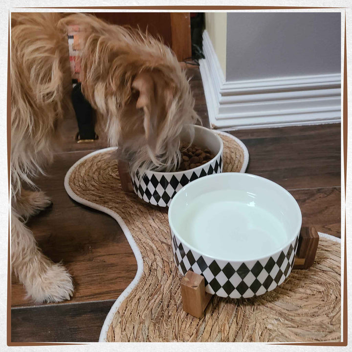 Dog Placemat - Eco-friendly 100% Natural Bone shaped