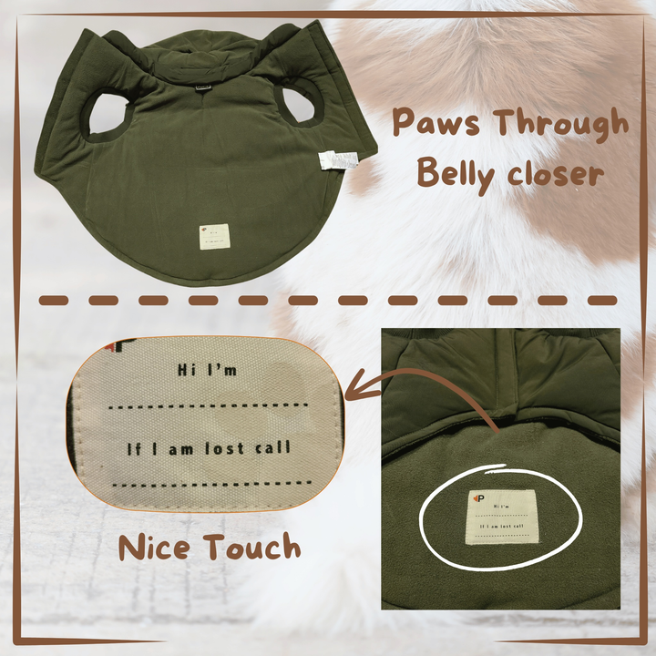 winter dog coat Pajar Green