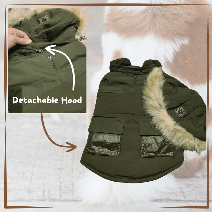 winter dog coat Pajar Green