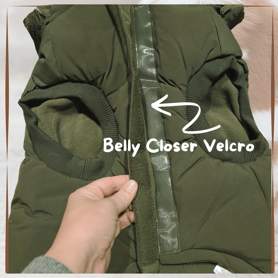 winter dog coat Pajar Green