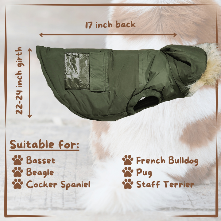 winter dog coat Pajar Green measurements