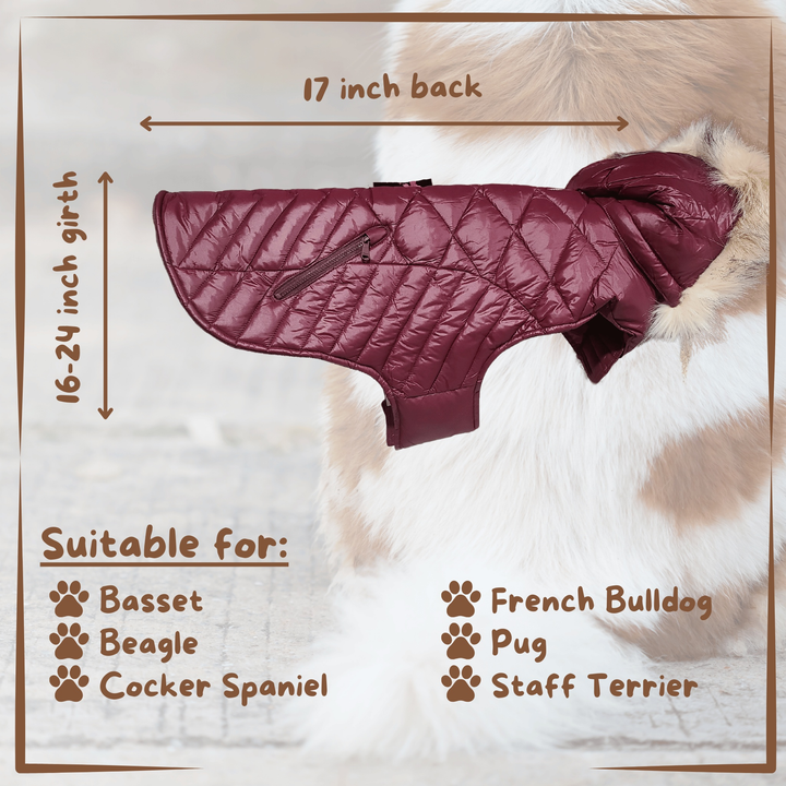 Winter Dog Coat - Pajar Purple - Measurements