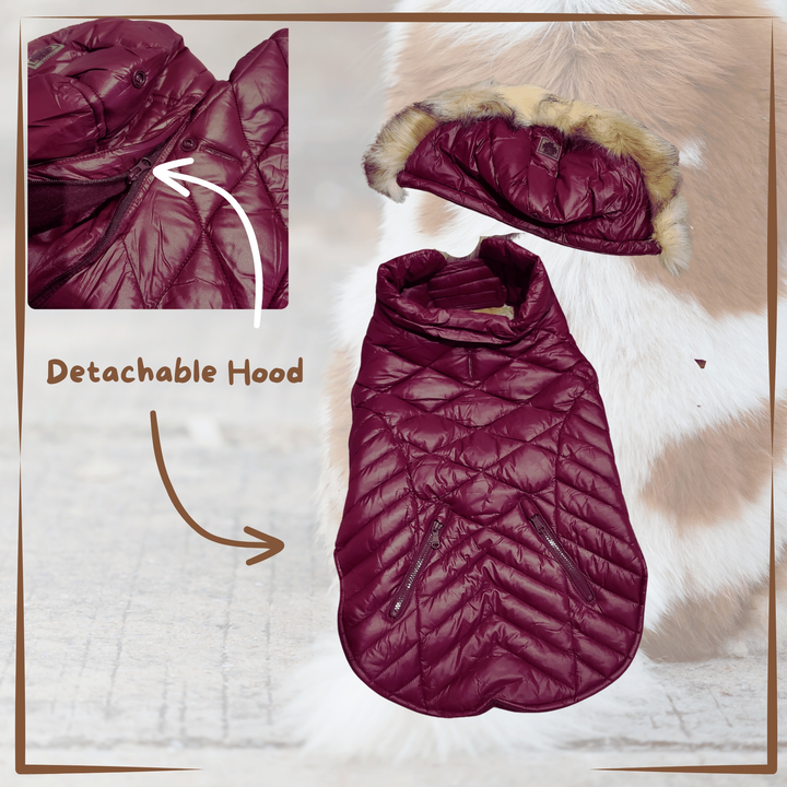 Winter Dog Coat - Pajar Purple