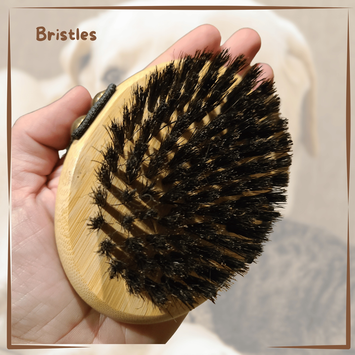 Palm Brush For Pets Bamboo Groom